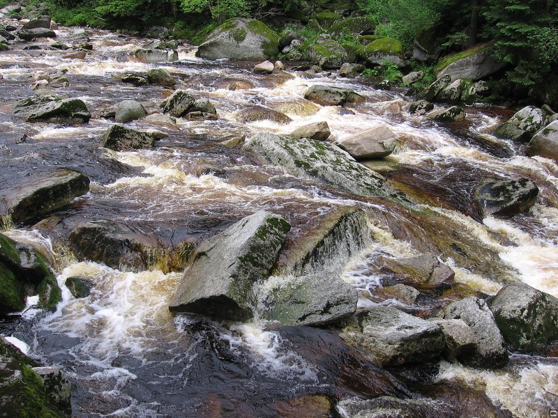 img00026.jpg